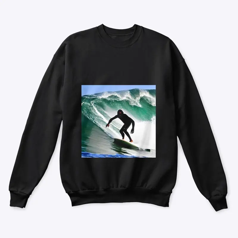 Mysterious Surfer